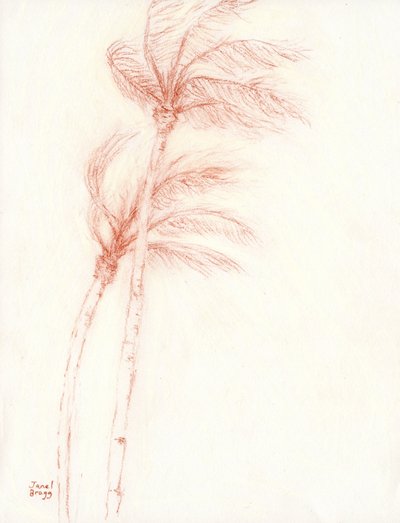 Olipa kerran trooppinen loma Palmut, n.2019 (lyijykynä paperille) tekijältä Janel Bragg