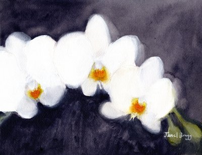 Orkidea White Phalaenopsis, n.2021 (vesiväri ja kaseiini paperille). tekijältä Janel Bragg