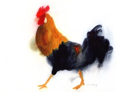 Kukko Kauailla Lydgate Parkissa, n. 2019 (vesiväri paperille). tekijältä Janel Bragg