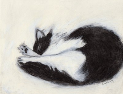 Thomas päiväunilla, noin 2018 (hiiltä ja pastellia paperille). tekijältä Janel Bragg