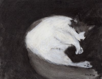 Thomas päiväunilla, n. 2018 (hiiltä ja pastellia paperille). tekijältä Janel Bragg