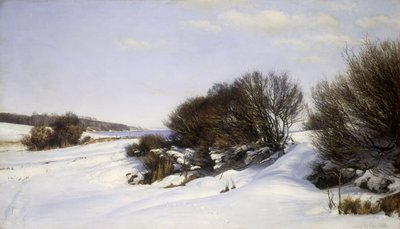 Talvi lähellä merta, 1888 tekijältä Janus La Cour