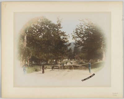 Kasuga, Nara, Japani (käsinvärinen mustavalkokuva) tekijältä Japanese Photographer