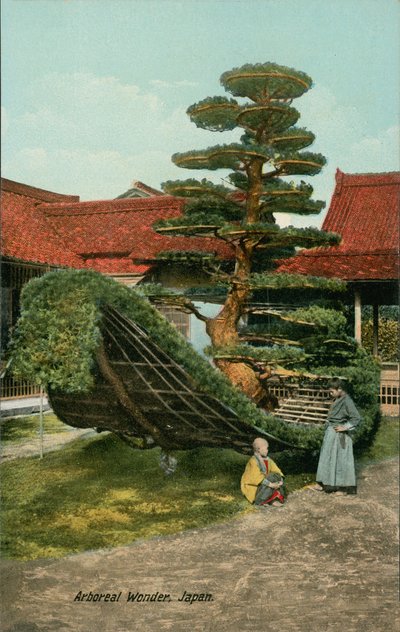  tekijältä Japanese Photographer