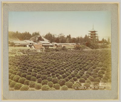Tojin pagodi ja teepuutarha, Kioto, Japani (käsinvärinen mustavalkokuva) tekijältä Japanese Photographer