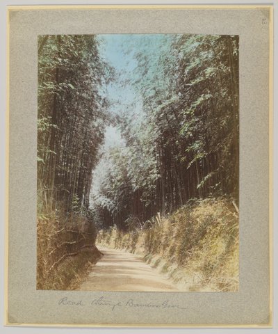 Tie bambulehdon läpi, Japani (käsinvärinen mustavalkokuva) tekijältä Japanese Photographer