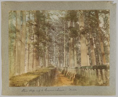 Kivi astuu ylös Ieyasun haudalle, Nikko, Japani (käsinvärinen mustavalkokuva) tekijältä Japanese Photographer