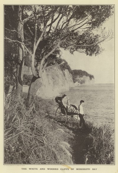 Mississippi Bayn valkoiset ja metsäiset kalliot tekijältä Japanese Photographer