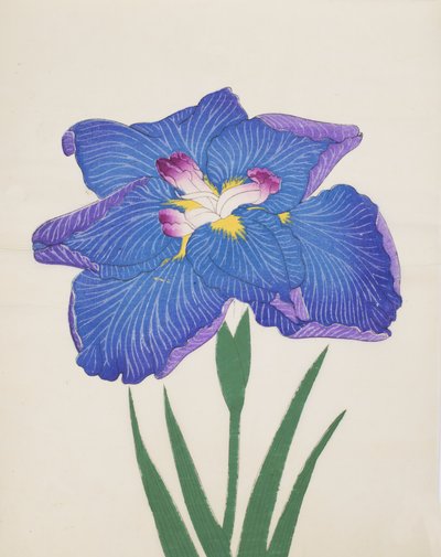 Azumabotan, nro 89, 1890 (värillinen puupainatus) tekijältä Japanese School