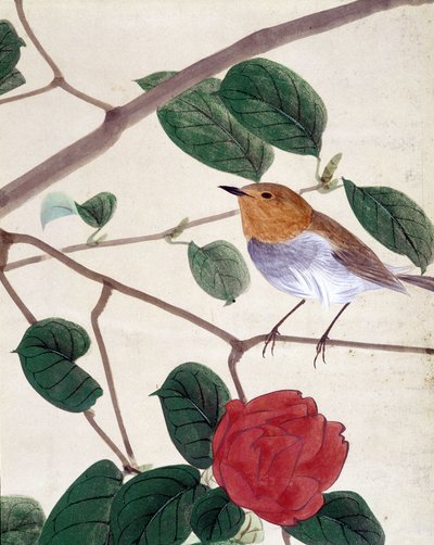 Lintu ja kukat. Riou Chimin japanilainen piirustus, 1800-luvun loppu. tekijältä Japanese School