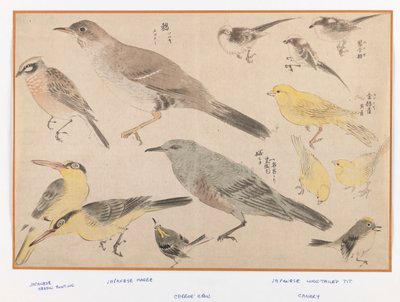 Birds in Okyo Style (puupalkin väriprintti) tekijältä Japanese School
