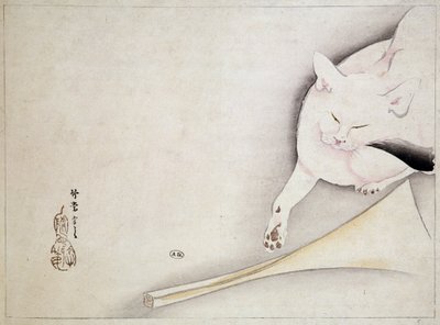 Kissa, japanilainen piirustus, n.d. 1800-luvulla. tekijältä Japanese School