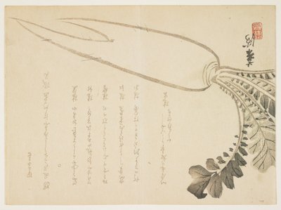 Daikon retiisi, tammikuu 1864 (värillinen puupainatus) tekijältä Japanese School