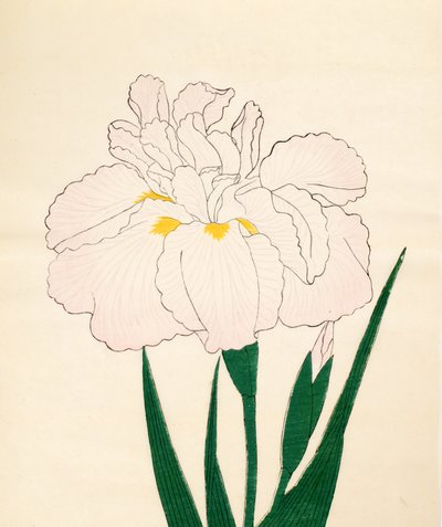 En-Yo-No-Ten, nro 73, 1890 (värillinen puupainatus) tekijältä Japanese School