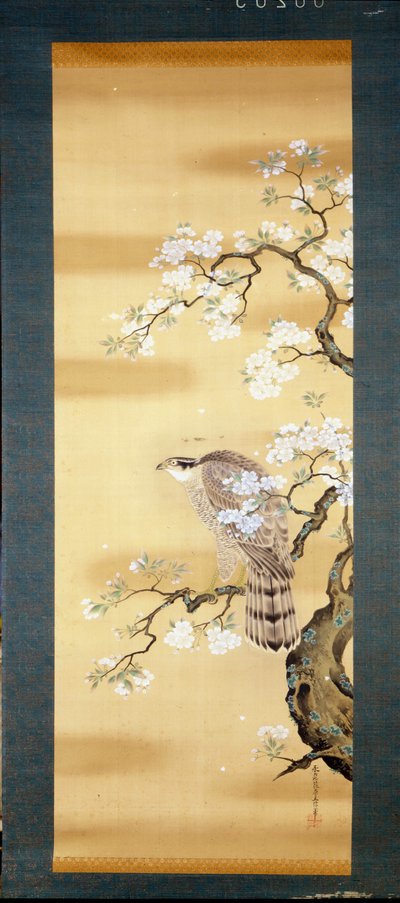 Haukka japanilaisen kirsikan oksalla kukkii. Silkkimaalausta 1700-luvulta Japanista. Genova. Museo Chiossone. tekijältä Japanese School