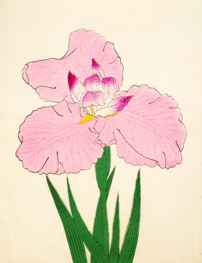 Triumfaali, of. 90, 1890 tekijältä Japanese School