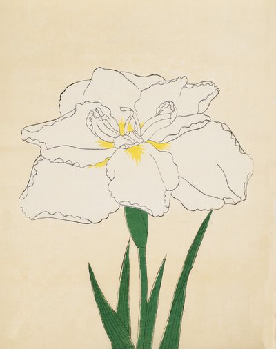 Haku-O-Den, nro 40, 1890 (värillinen puupainatus) tekijältä Japanese School