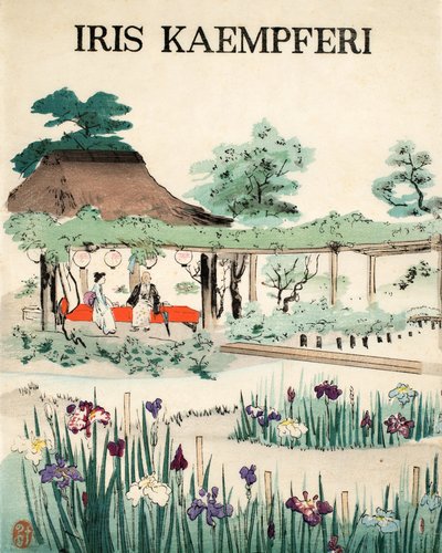 Iris Kaempferi - Etukansi, 1890 tekijältä Japanese School