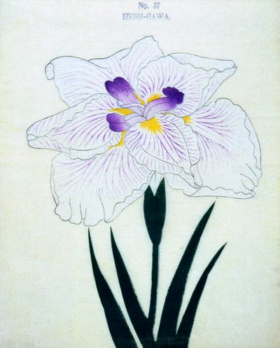 Izumin puolella. 37, 1898 tekijältä Japanese School