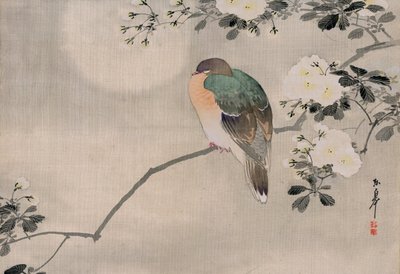 Japanilainen silkkimaalaus puukyyhkystä tekijältä Japanese School