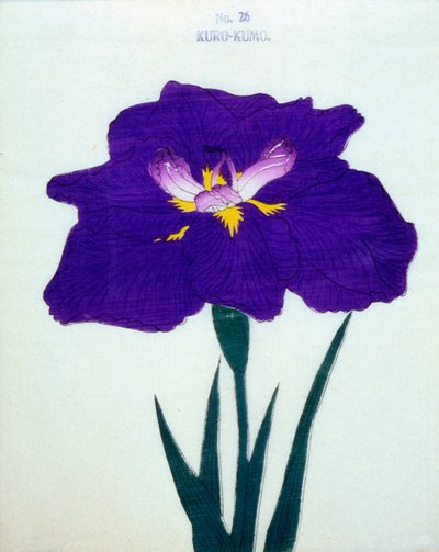 Viitta myös. 26, 1898 tekijältä Japanese School