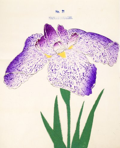 Seitsemästä Komachista. 21, 1898 tekijältä Japanese School
