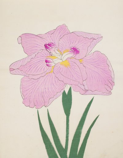 Shu-Fu-Raku, nro 58, 1890 (värillinen puupainatus) tekijältä Japanese School