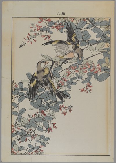 Kaksi lintua vaaleanpunaisilla kukilla, Meiji-kausi, n. 1868-1912 (värillinen puupainatus) tekijältä Japanese School