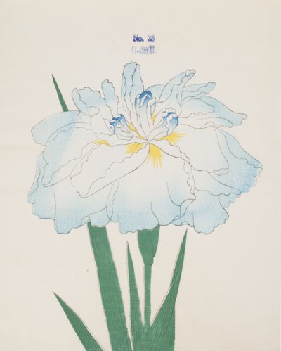 Hmmm, siitä. 25, 1898 tekijältä Japanese School