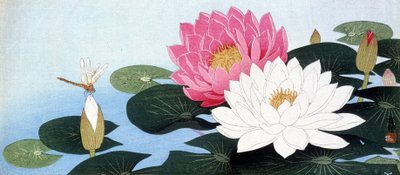 Vesililjat ja sudenkorento - japanilainen printti tekijältä Japanese School