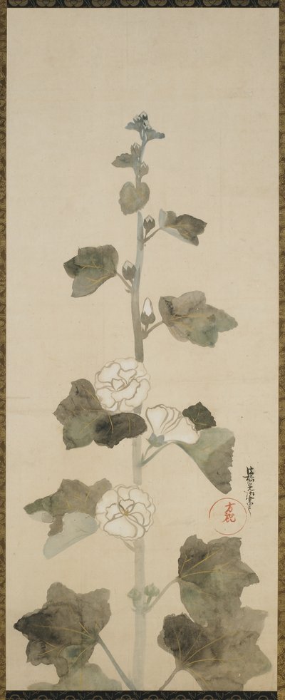 Valkoiset hollyhocks, Edo-kausi, 1615-1868 (muste, sävy ja kulta paperille) tekijältä Japanese School