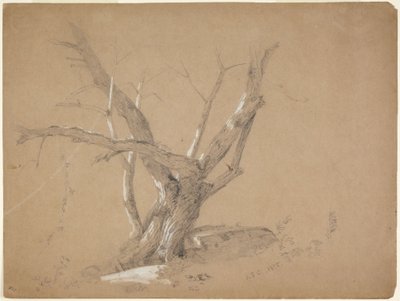  tekijältä Jasper Francis Cropsey