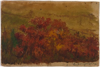 Untitled tekijältä Jasper Francis Cropsey