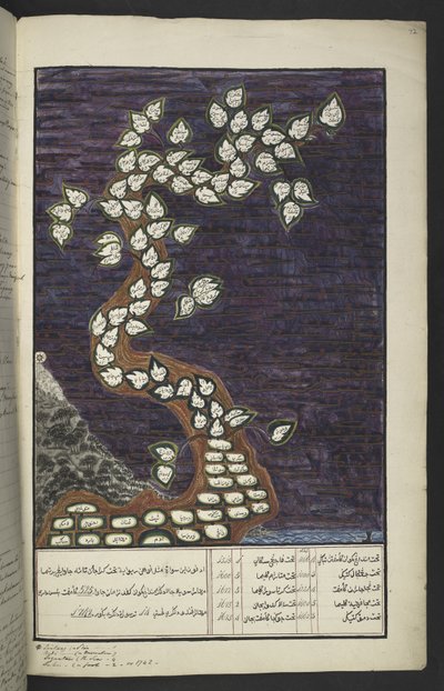 Tai. 15932, f. 72r, Sukukaavio Jaavan hallitsijoiden puun muodossa Aadamista Pakuwanaan IV (Surakarta) ja Mataram IV:een (Hamengkubuwana IV Yogykartassa), jaavalaisen käsikirjoituksen, Papakem Pawukon tekijältä Javanese School