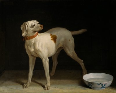 Koira tekijältä Jean Baptiste Oudry