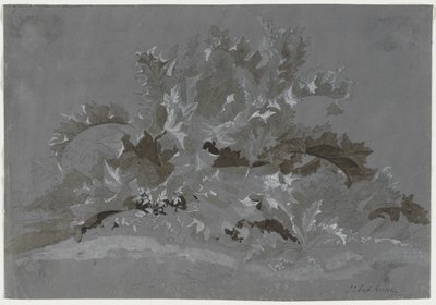 Rikkakasvien tutkimus, 1800-1850. tekijältä Jean Antoine Linck