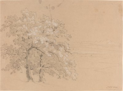 Auringon valaisemat puut ennen panoraamamaisemaa tekijältä Jean Antoine Linck