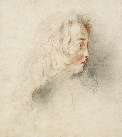 Pojan pää profiilissa (mustaa ja punaista liitua värjätyllä luonnonvalkoisella paperilla). tekijältä Jean Antoine Watteau