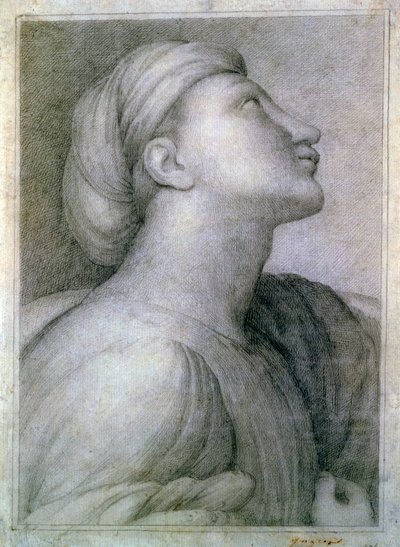 Kasvojen profiili tekijältä Jean Auguste Dominique Ingres