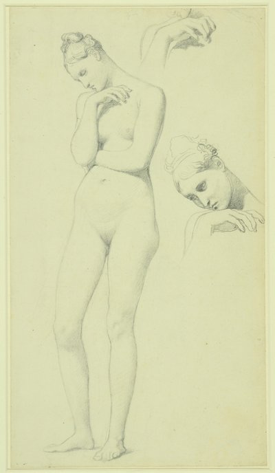 Stratonicen hahmoa varten tehtyjä tutkimuksia, n.1834-40 (lyijykynä paperille). tekijältä Jean Auguste Dominique Ingres