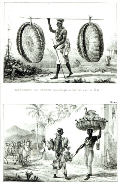 Pääkorit ja siipikarjamyyjä: Kuvankaunis ja historiallinen matka Brasiliaan tekijältä Jean Baptiste (after) Debret