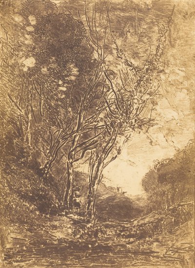 Ambush The Ambush, 1858. tekijältä Jean Baptiste Camille Corot