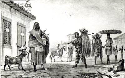 Talo vuokrattavana, hevonen ja vuohi myytävänä, "Voyage Pittoresque et Historique au Bresil", tekijältä Jean Baptiste Debret
