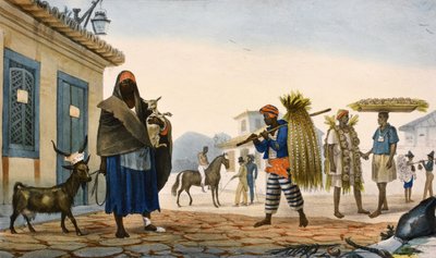 ja värilliset litografiat tekijältä Jean Baptiste Debret
