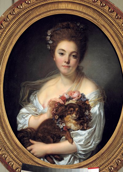 Madame De Porcinin muotokuva Jean Baptiste Greuzen (1725-1805) maalaus. 1770 noin Koko 0,72 x 0,58 m. Angers. Kuvataidemuseo tekijältä Jean Baptiste Greuze