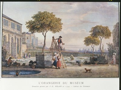 Orangerie Pariisin museossa vuonna 1794 tekijältä Jean Baptiste Hilair