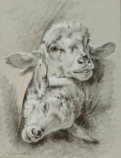 Tutkimus kahdesta lampaasta, 1768 (liitu ja pesu paperille) tekijältä Jean Baptiste Huet
