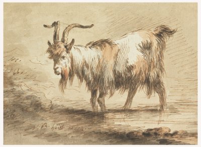 Piirustus, Vuohi, 1772 tekijältä Jean Baptiste Huet