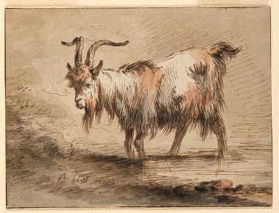 Piirustus, Vuohi, 1772 tekijältä Jean Baptiste Huet