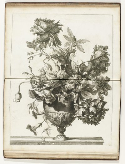 Bloemenvaas Naturalin jälkeen tehtyjä kirjoja useista kukkien vaaseista (sarjan nimi) tekijältä Jean-Baptiste Monnoyer